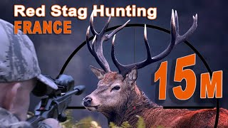 Red Stag Hunting in France // Chasse du Cerf en France // 2022 screenshot 4