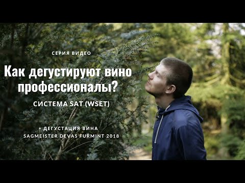 Как дегустируют вино профессионалы? Система SAT (WSET)