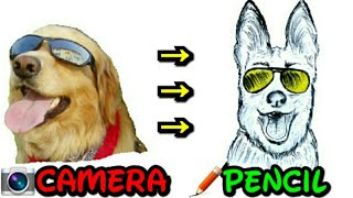 How To Draw A Funny Dog By Pencil | Artistic Mind