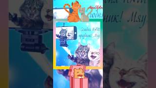 С днём кошек! #shortvideo #shots #cat #catshorts #cats