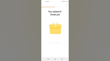 What is a blockchain network that operates independently with a consensus algorithm?