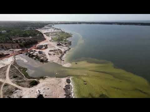 Video: Hoe werd het heuvelachtige meer roze?