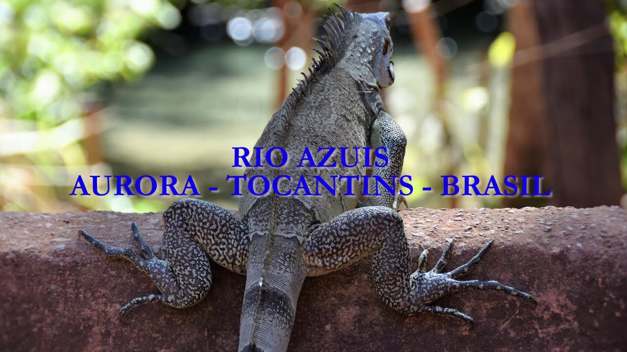 RIO AZUIS - AURORA - TOCANTINS - BRASIL 
