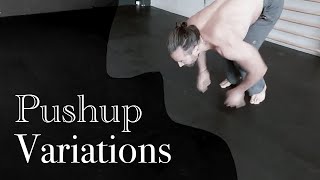20 Pushup Variations
