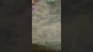 Play video: 23. August 2025
