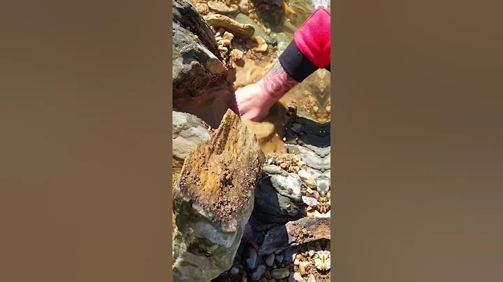 Gold Prospecting Time #bedrockminecraft #goldprospecting #goldpanning #goldnuggets #goldrush #emas