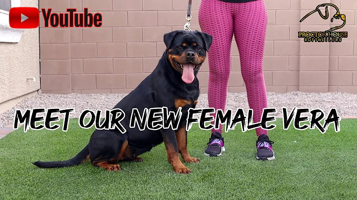 INTRODUCING VERA