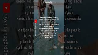 Rüyada Ağ Ile Balık Tutmak