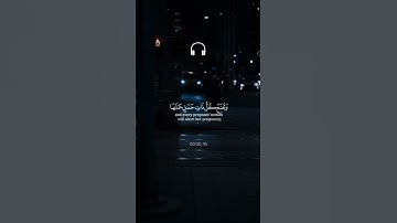 من هو القارئ المفضل لديك 🌹
