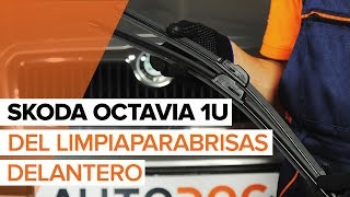 Mantenimiento Skoda Felicia 6u5 2000 - vídeo guía