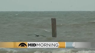 Study: U.S. Has Hurricane Buffer Zone Near Coast