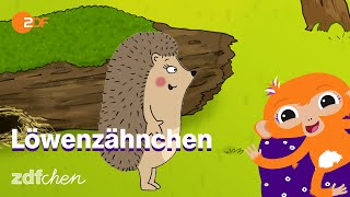 Lied: Schön klein! | LÖWENZÄHNCHEN | ZDFchen