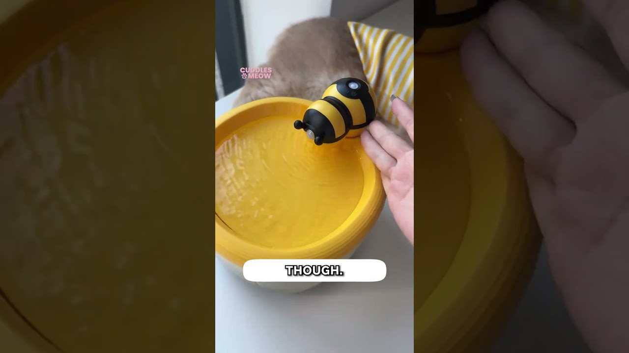 Standing Statue Mode Is Activated When Cat Drinks 🤣