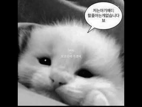 출처:연 #알고리즘 #눌러주세용 #좋아요댓글 #관리자님추천뜨게해주세요 #리즘아