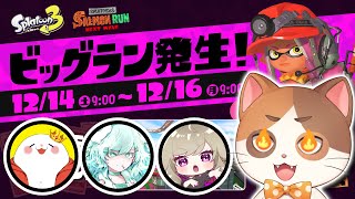うるさすぎるビッグランコラボで世界を救うぞ！！【ビッグラン】