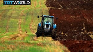 Canberra seeks WTO mediation over Beijing's barley tariffs | Money Talks