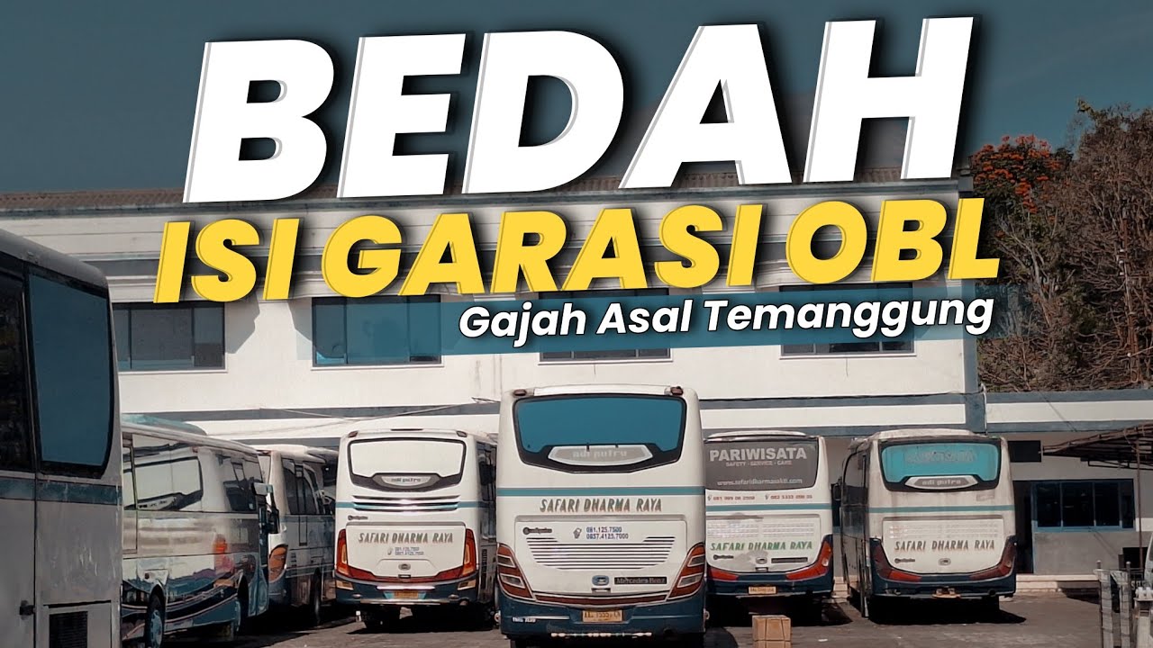 BEDAH ISI GARASI SAFARI DHARMA RAYA [OBL]❗️GAJAH LEGEND ASAL KOTA TEMBAKAU