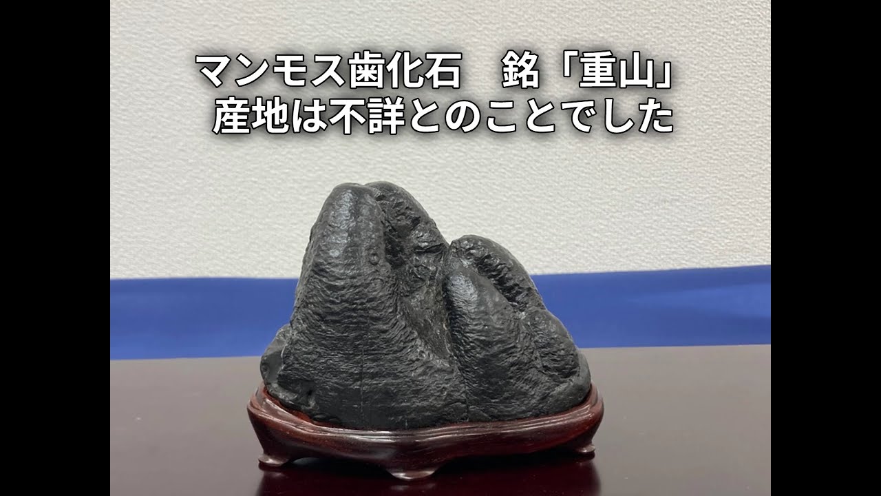 初めての水石139 日本観賞石展inとよた 小さい石の展示会に行きました