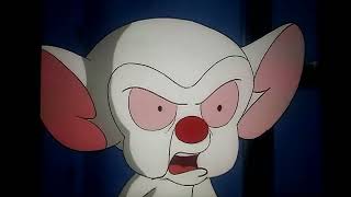 Pinky & The Brain Ending Remix 46