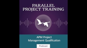 APM PMQ (2024) Governance Arrangements (LO2)