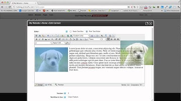 DotNetNuke 6+ Training - Editing Content 1.mp4
