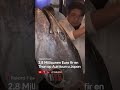 2,8 Milliounen Euro fir en Thon op Auktioun a Japan 🐟