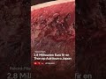 2,8 Milliounen Euro fir en Thon op Auktioun a Japan 🐟