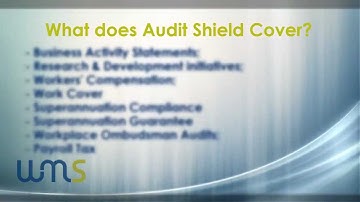 Audit Shield