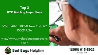 Top 3 Bed Bug Removal in Kent