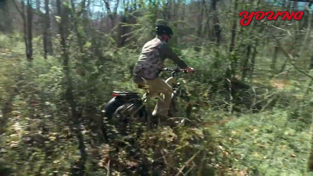 Your Perfect Hunting Bike: Young Electric E-Scout Pro