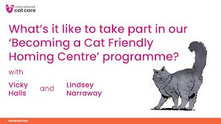 What's it like to take part in our 'Becoming a Cat Friendly Homing Centre' programme?