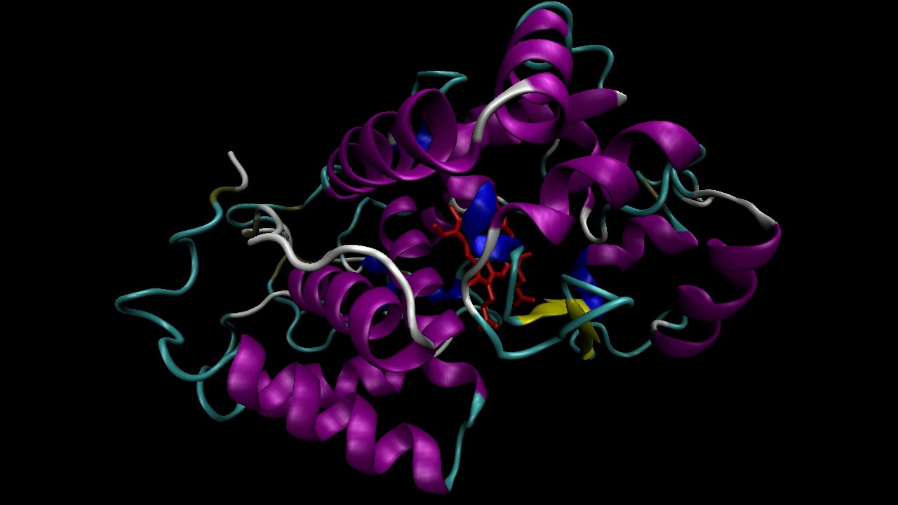 Structure of Horseradish Peroxidase YouTube