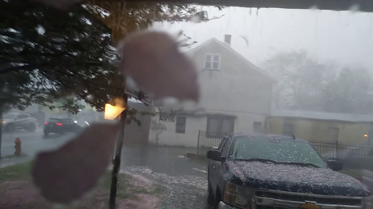 20190426_173527.mp4 Snowing Pedals in Roxborough PA. 2019