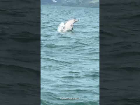 Passeio de lancha Kaimares Turismo — Ilhas de Ubatuba