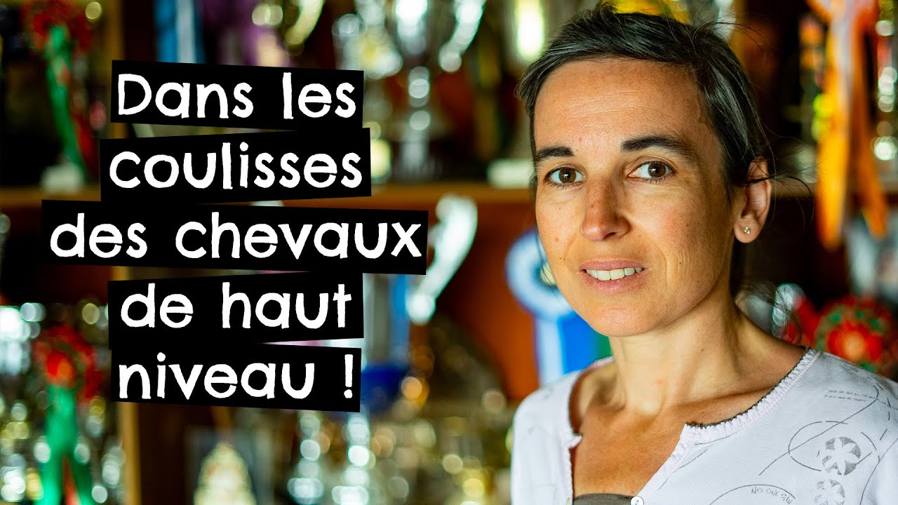 Dans les coulisses des chevaux de haut niveau !