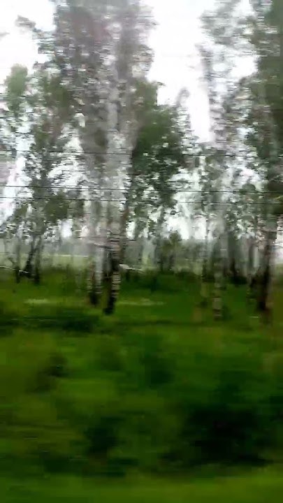 Сибирь 6 # Shorts - YouTube