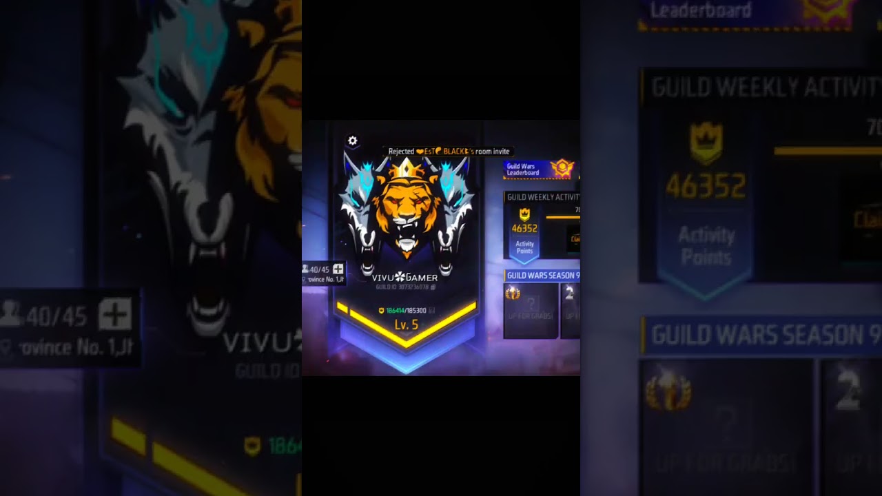 vivugamer guild member 