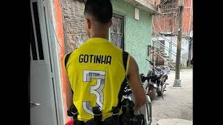 ANIMALS - SPEED UP RLK GOTINHA
