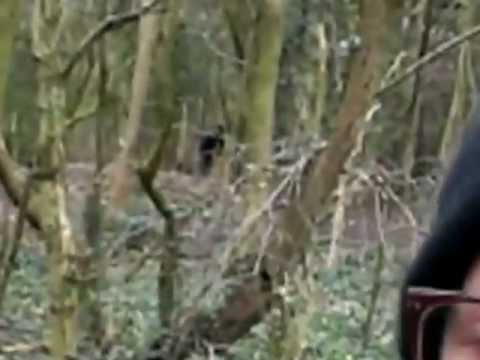 Tunbridge Wells Bigfoot (Stablized)