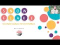 Snowflake Database Fail-Over/Fail Back | Rajiv Gupta Everyday Learning
