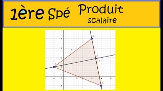 Première Spécialité Maths-produit scalaire-épreuve commune sujet 2617