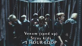 Stray Kids - Venom (sped up) | 1 HOUR LOOP