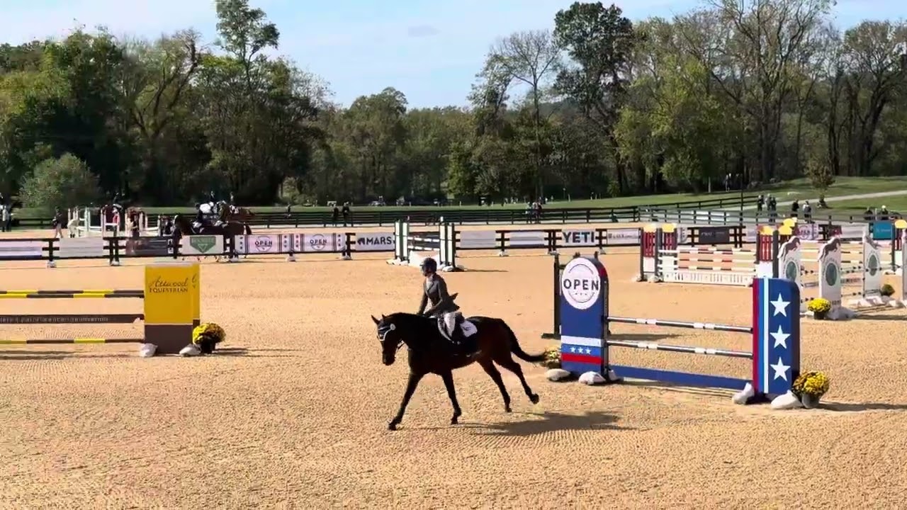 Fursten Dansil show jumping morven park CCI2*