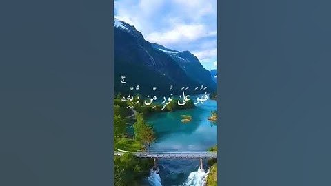 محمد اللحيدان تلاوة خاشعة #ياسر_الدوسري #القرآن_الكريم #محمد_اللحيدان #ماهر_المعيقلي #احمد_العجمي