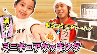 【ミニチュア料理】親子で超ミニミニチャーハン作ってみた