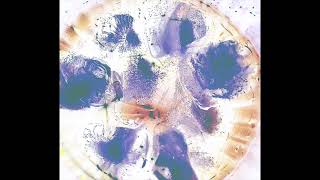 Sad Grunge X Heavy Shoegaze X Alternative Rock Type Instrumental  Awaken   Anticn