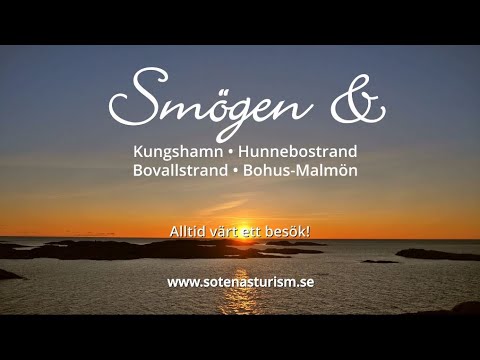 Naturvandringar på Sotenäset