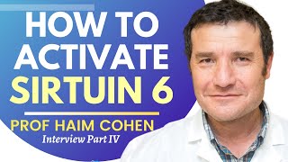 How To Activate Sirtuin 6 Prof Haim Cohen Ep 4