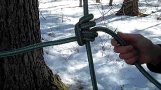 Tree Climbing Tutorial