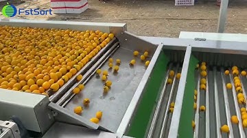 FstSort Yellow cherry tomatoes grader size sorter cleaning air-drying grading and packaging machine